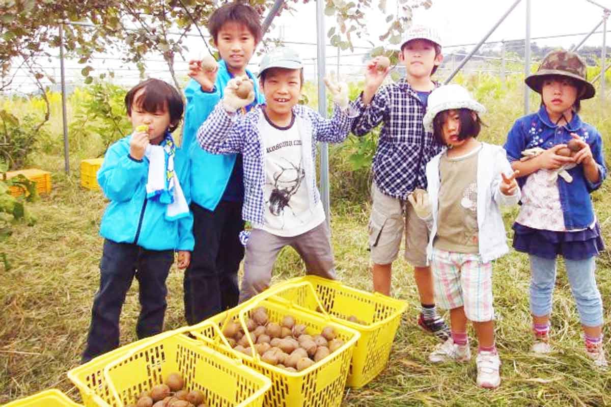 キウイフルーツ狩り